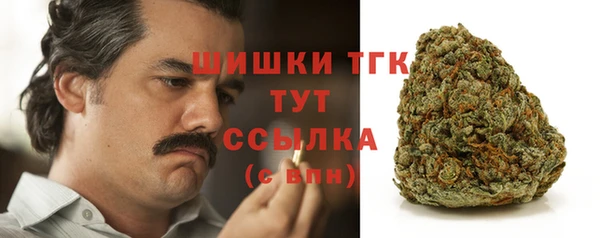 молекула духа Алексеевка